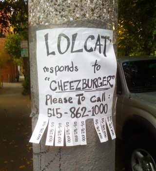 LOLCAT